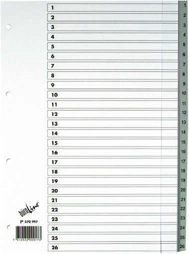 OLYMPUS DIGITAL CAMERA BÜROLINE Register PP A4 570997 grau 1-52 – Hochwertig & günstig bei ShopDeca