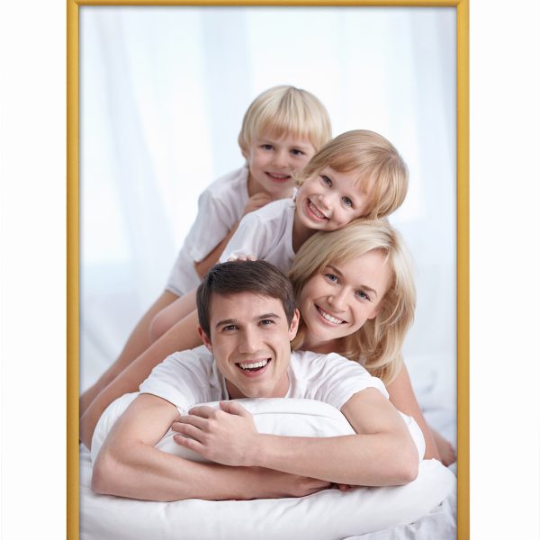 DEBEX Wechselrahmen 24x30cm 901201-240X3 Alu gold