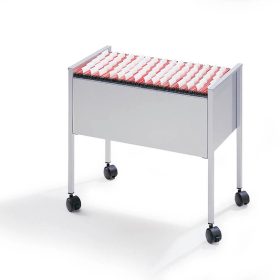 DURABLE Hängemappenboy Economy 309510 lichtgrau