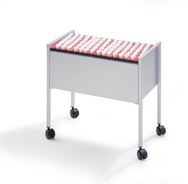 DURABLE Hängemappenboy Economy 309510 lichtgrau