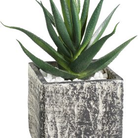 EGLO Kunstpflanze 12cm 428008 grün, im Topf