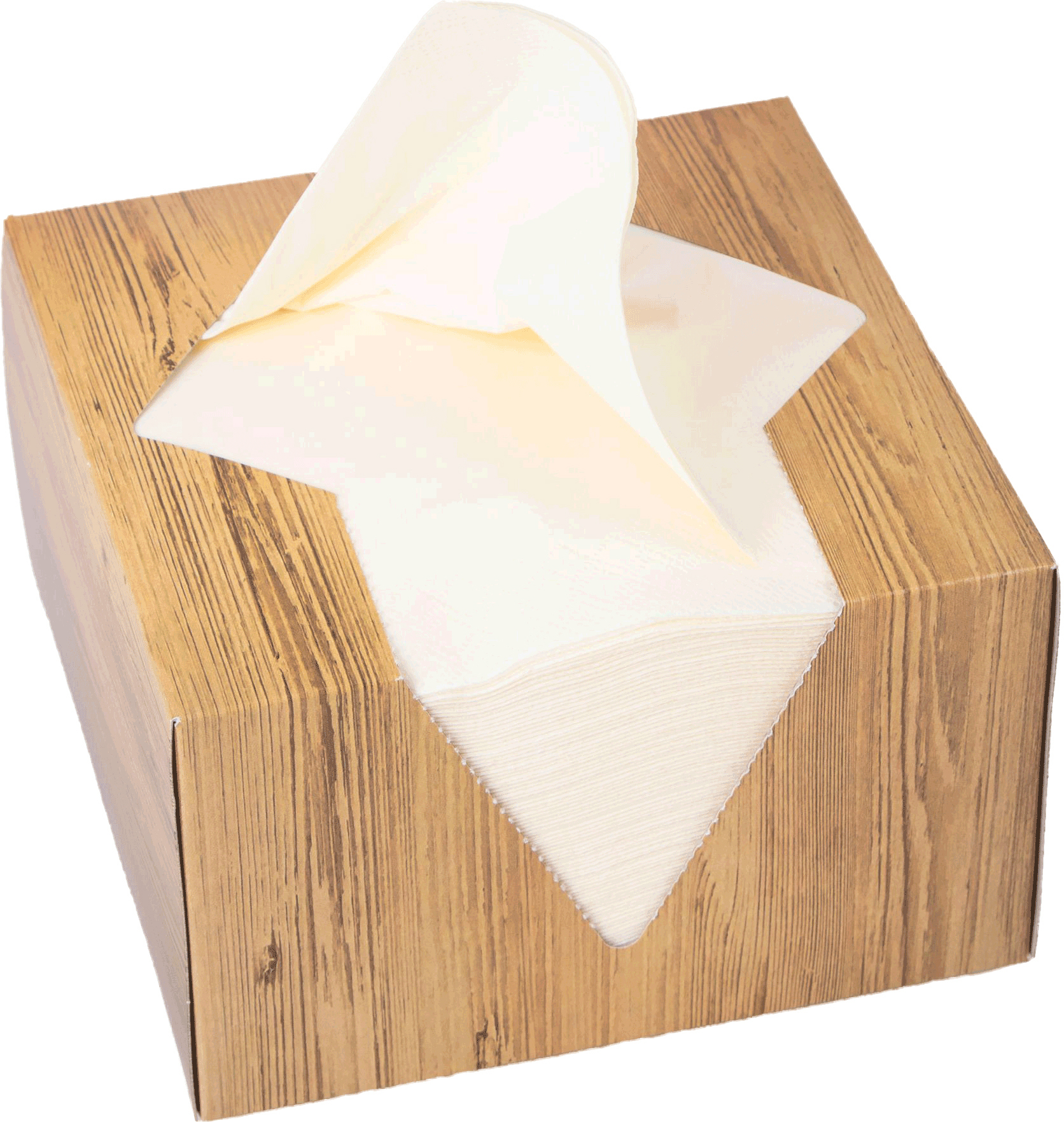 ELCO-33402100-004-7612614061969 ELCO Serviettenbox 33x33cm 33402100-004 3-lagig, crème 100Stk. – Hochwertig & günstig bei ShopDeca