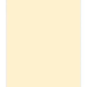 ELCO Büropapier Color A4 74616.41 80g, hellchamois 100 Blatt