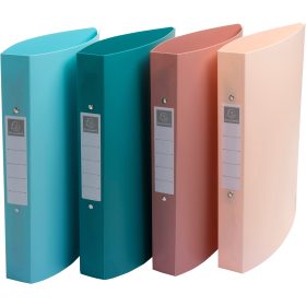 EXACOMPTA Ringbuch Skandi A4 54470E assortiert 2-Ring 3cm