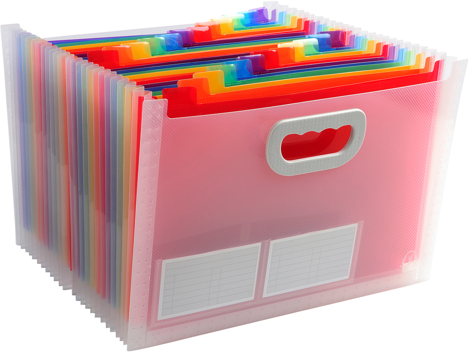 EXACOMPTA-55198E-3130630551980 EXACOMPTA Fächermappe Crystal A4 55198E transparent 24-teilig – Hochwertig & günstig bei ShopDeca