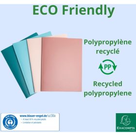 EXACOMPTA Sichtbuch Skandi A4 86270E assortiert 20 Hüllen