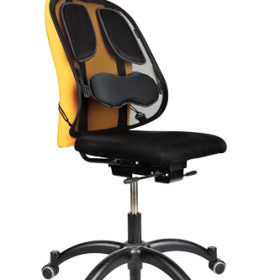 FELLOWES Rückenstütze Professional 8029901 Rückenstütze