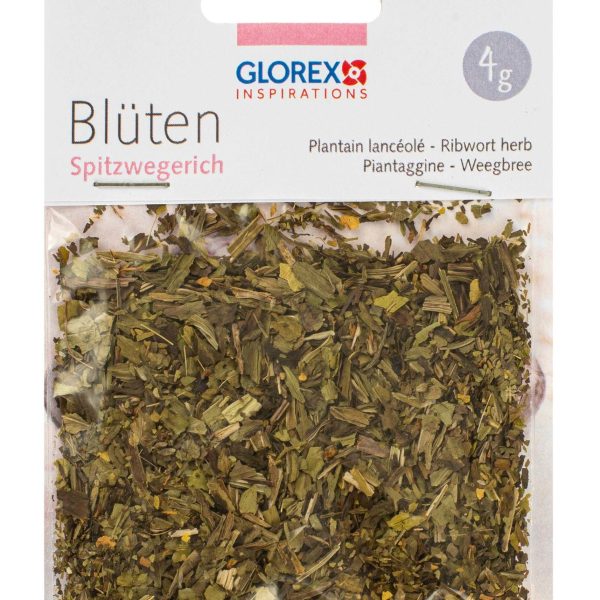 GLOREX Spitzwegerich 4g 61601106 grün