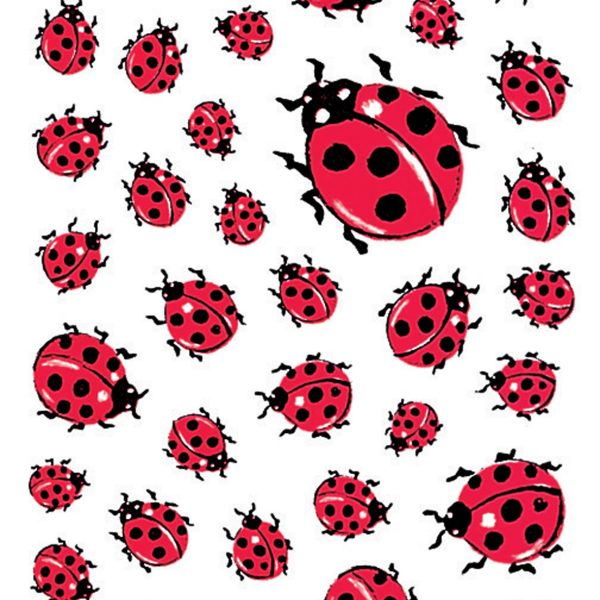 HERMA Etiketten Decor 80x120mm 5439 Marienkäfer 3 Stück