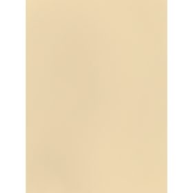 I AM CREATIVE Fotokarton 50x70cm 2902498303 270g, creme