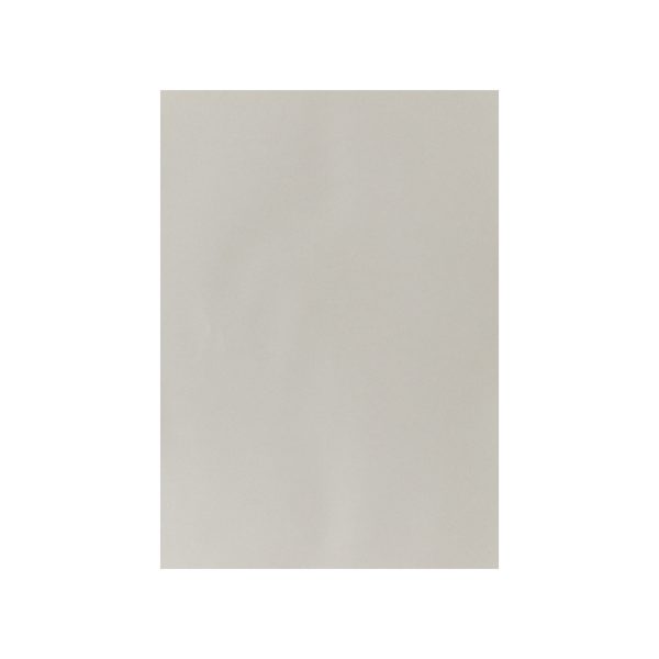 I AM CREATIVE Fotokarton A4 2903018343 270g, kieselgrau