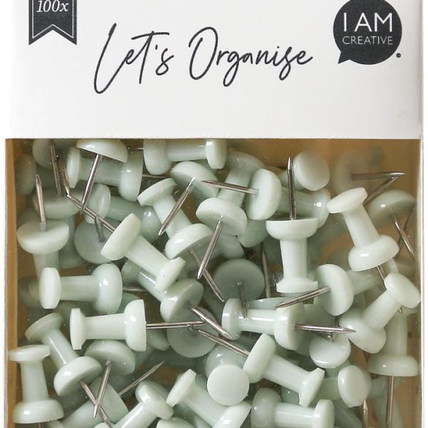 I AM CREATIVE Pinnadeln Let`s Organize 4035.17 hellgrün, 9x24cm 100 Stück