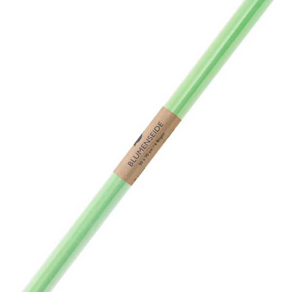 I AM CREATIVE Seidenpapier 4073.11 50x70cm, lindgrün