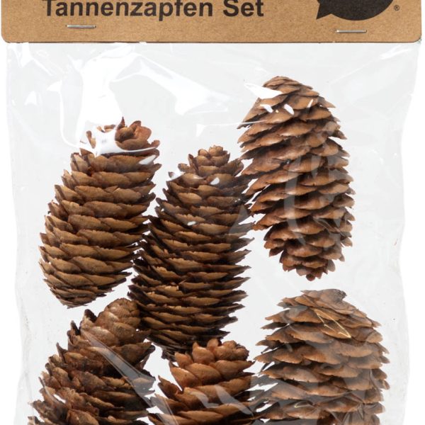 I AM CREATIVE Tannenzapfenset 6102.87 länglich 6 Stück