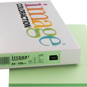 IMAGE COLORACTION Kopierpapier Forest A4 266689 120g, grün 250 Blatt