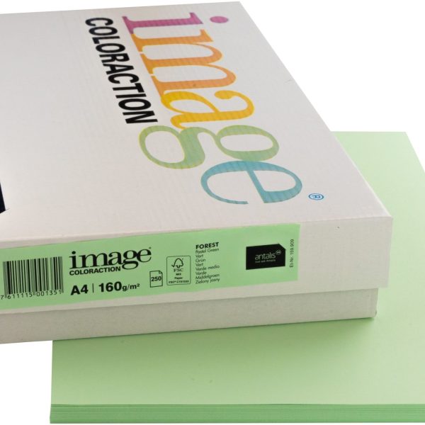 IMAGE COLORACTION Kopierpapier Forest A4 266761 160g, grün 250 Blatt