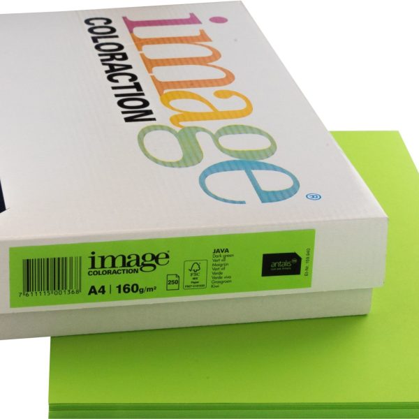 IMAGE COLORACTION Kopierpapier Java A4 266767 maigrün, 160g 250 Blatt