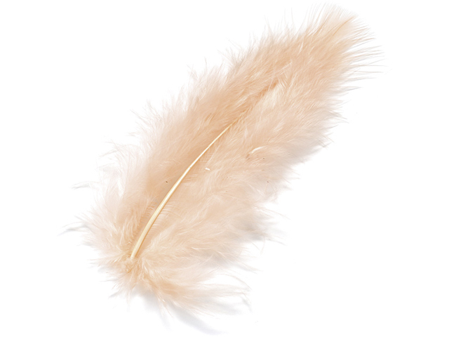 KNORR-PRANDELL-6619207-4011643025882 KNORR PRANDELL Marabufedern 10cm 6619207 apricot 15 Stück – Bild 1