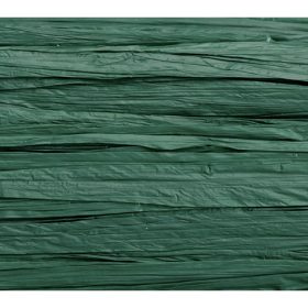 KNORR PRANDELL Edelbast 30m 8533044 dunkelgrün matt