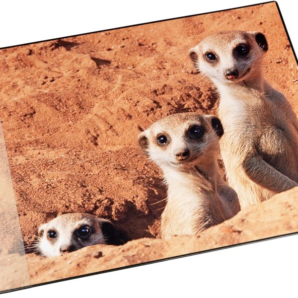 LÄUFER Schreibunterlage 46596 Erdmännchen 53x40cm
