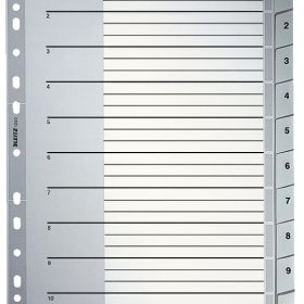 LEITZ Register PP A4+ 12800000 grau 1-10