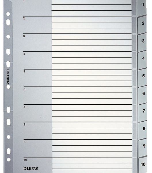 LEITZ Register PP A4+ 12800000 grau 1-10