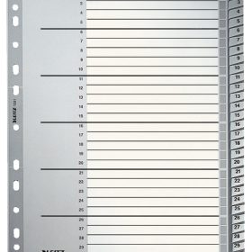 LEITZ Register PP A4+ 12810000 grau 1-31