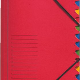 LEITZ Ordnungsmappe A4 39120025 rot 12 Fächer