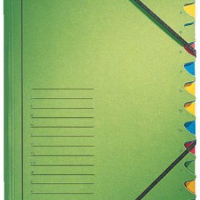 LEITZ Ordnungsmappe A4 39120055 grün 12 Fächer