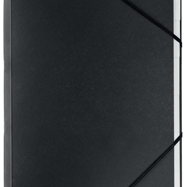 LEITZ Ordnungsmappe Recycle A4 3914-00-95 schwarz, Karton 6 Fächer