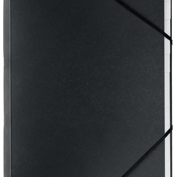 LEITZ Ordnungsmappe Recycle A4 3915-00-95 schwarz, Karton 12 Fächer