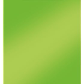 LEITZ Klemmbrett WOW PS A4 3971-00-54 grün 80 Blatt