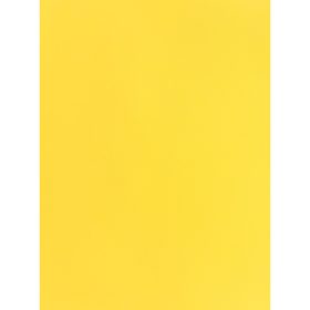 MAREIN Tonpapier 50x70cm 2901208305 120g, sonnegelb