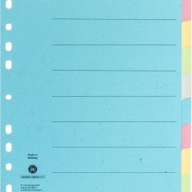 NOVOOO Kartonregister A4 40579 bunt 10-teilig