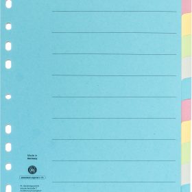NOVOOO Kartonregister A4 40581 bunt 12-teilig