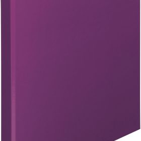 PAGNA Ringbuch Trend A4 20601-12 2-Bügel lila