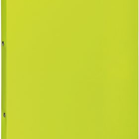 PAGNA Ringbuch 23mm A4 20901-17 lindengrün PP 2-Ring-Mech.