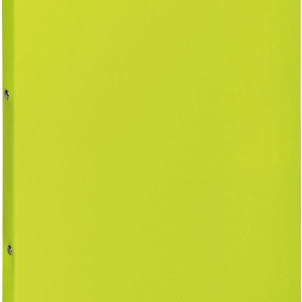 PAGNA Ringbuch 23mm A4 20901-17 lindengrün PP 2-Ring-Mech.