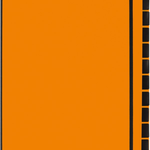 PAGNA Pultordner Trend A4 24129-09 orange 12 Fächer
