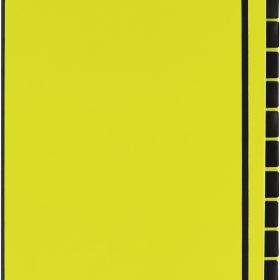 PAGNA Pultordner Trend A4 24129-17 lindgrün 12 Fächer