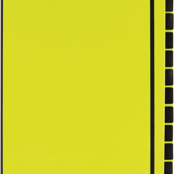 PAGNA Pultordner Trend A4 24129-17 lindgrün 12 Fächer