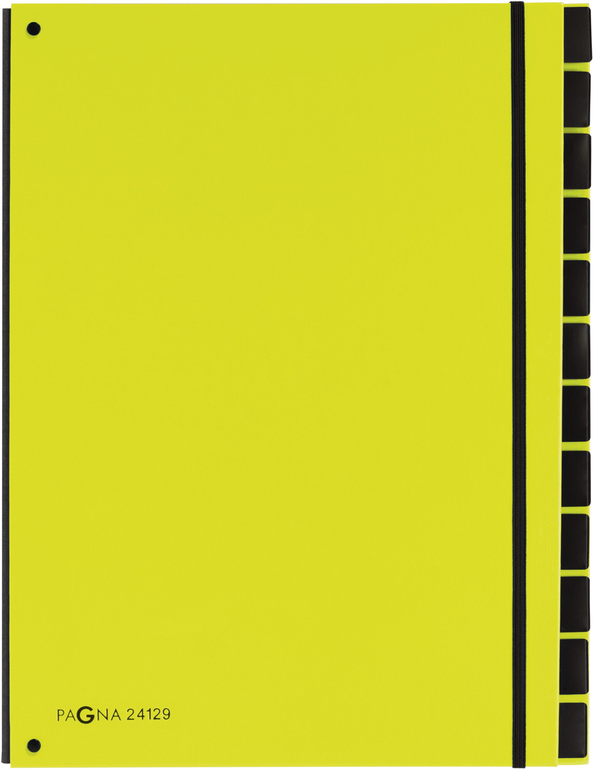 PAGNA-24129-17-4013951007451 PAGNA Pultordner Trend A4 24129-17 lindgrün 12 Fächer – Hochwertig & günstig bei ShopDeca