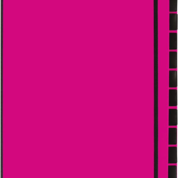 PAGNA Pultordner Trend A4 24129-34 dunkelrosa 12 Fächer
