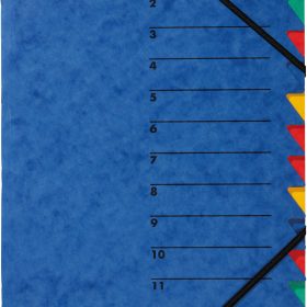 PAGNA Fächermappe EASY A4 24131-02 blau 12 Fächer