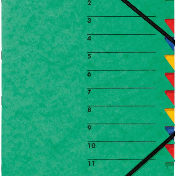 PAGNA Ordnungsmappe EASY A4 24131-03 grün 12 Fächer