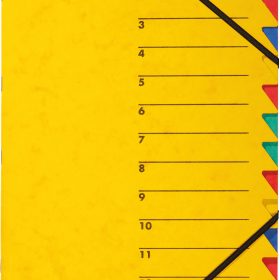 PAGNA Fächermappe EASY A4 24131-05 gelb 12 Fächer
