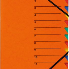 PAGNA Fächermappe EASY A4 24131-12 orange 12 Fächer