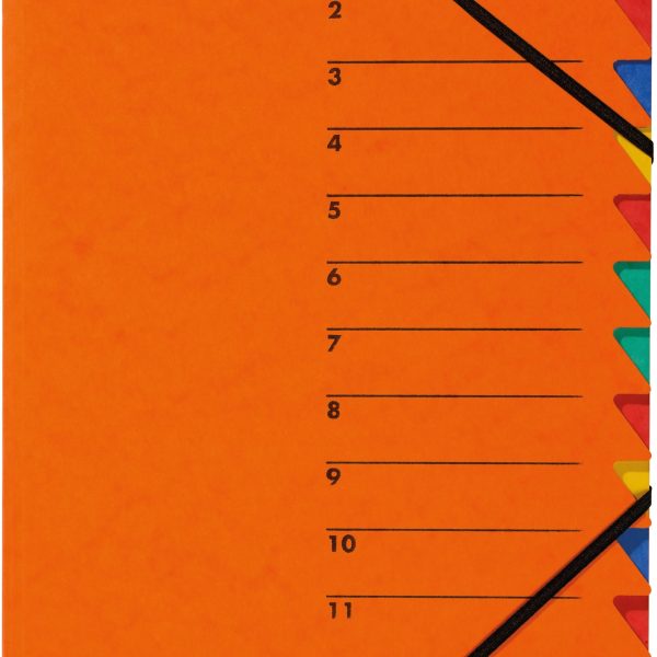 PAGNA Fächermappe EASY A4 24131-12 orange 12 Fächer