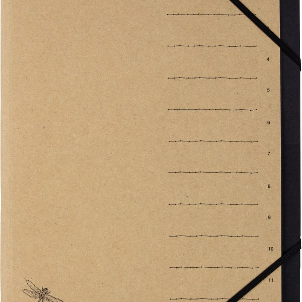 PAGNA Ordnungsmappe A4 40061-11 PUR natur 12 Fächer