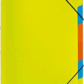 PAGNA Ordnungsmappe A4 41803-17 grün 5-teilig
